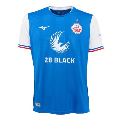 Camisa Mizuno Home Jersey Hansa M Hombre - Azules - Chile M729EKHYPC